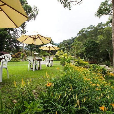 Hemerocallis Country House Nanzhuang Exterior photo