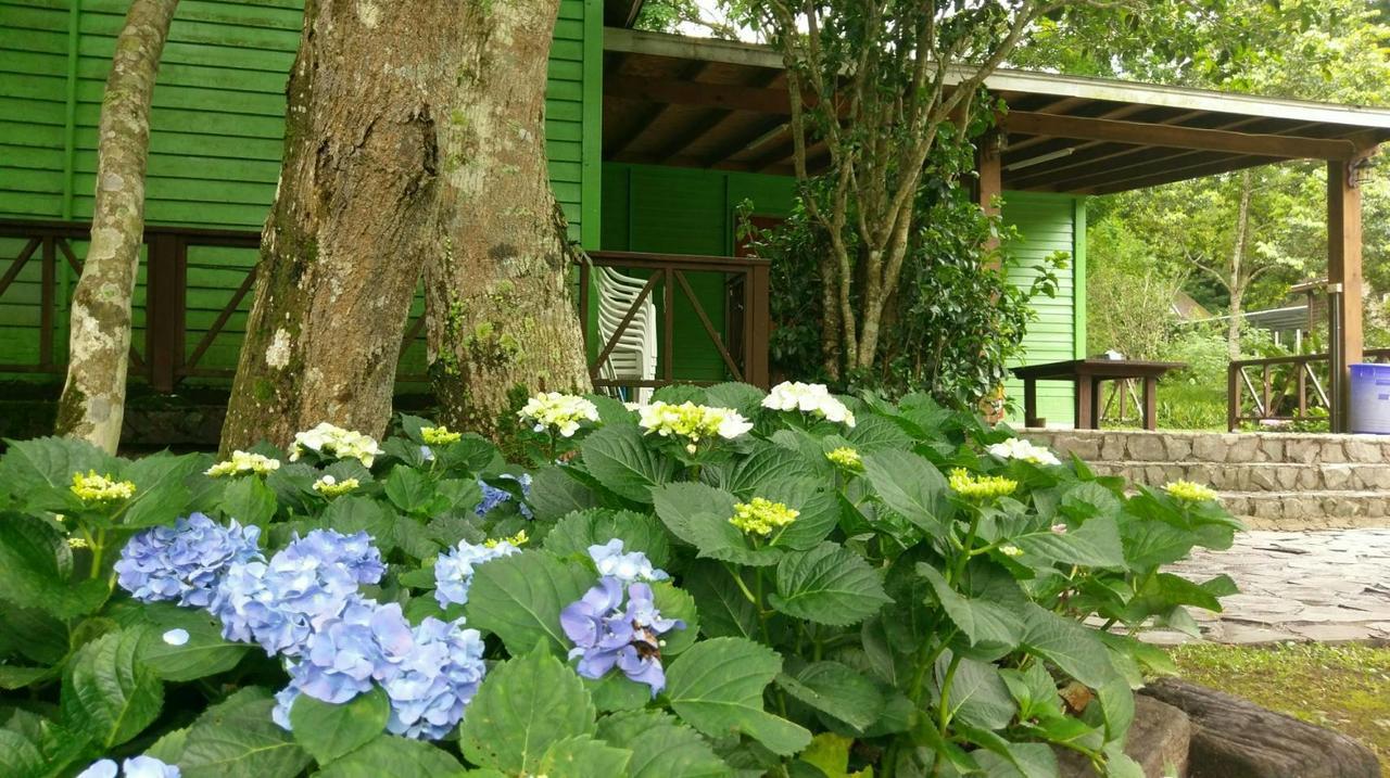 Hemerocallis Country House Nanzhuang Exterior photo